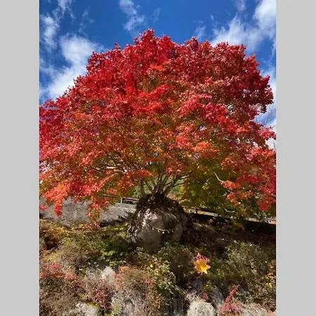 花緑里-Hanamidori-乙原のやど 岐阜下呂温泉郡上飛騨金山湖畔リゾート Gujo Exterior photo
