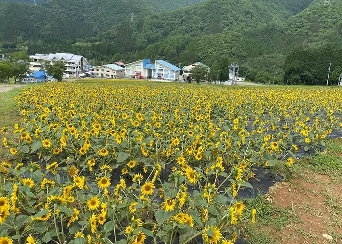 花緑里-Hanamidori-乙原のやど 岐阜下呂温泉郡上飛騨金山湖畔リゾート